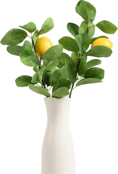 Artificial Fruit Branches Artificial Apple Highly Simulation Lifelike Model for Vase Home Party Decoration (2pcs Apple Branches)