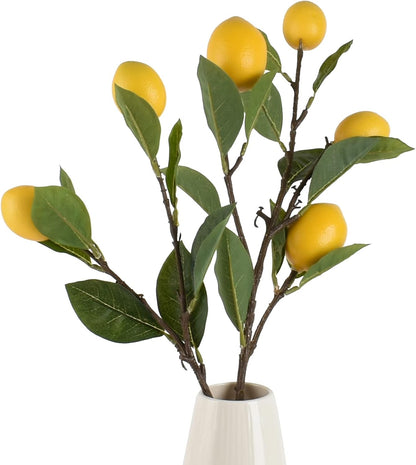 Artificial Fruit Branches Artificial Apple Highly Simulation Lifelike Model for Vase Home Party Decoration (2pcs Apple Branches)