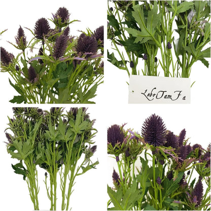 Artificial Flowers Artificial Thistle Spray Eryngo Fake Eryngium Foetidum Simulation Sea Holly for Wedding Bouquet Centerpiece Home Decor (Purple Gray, 3)