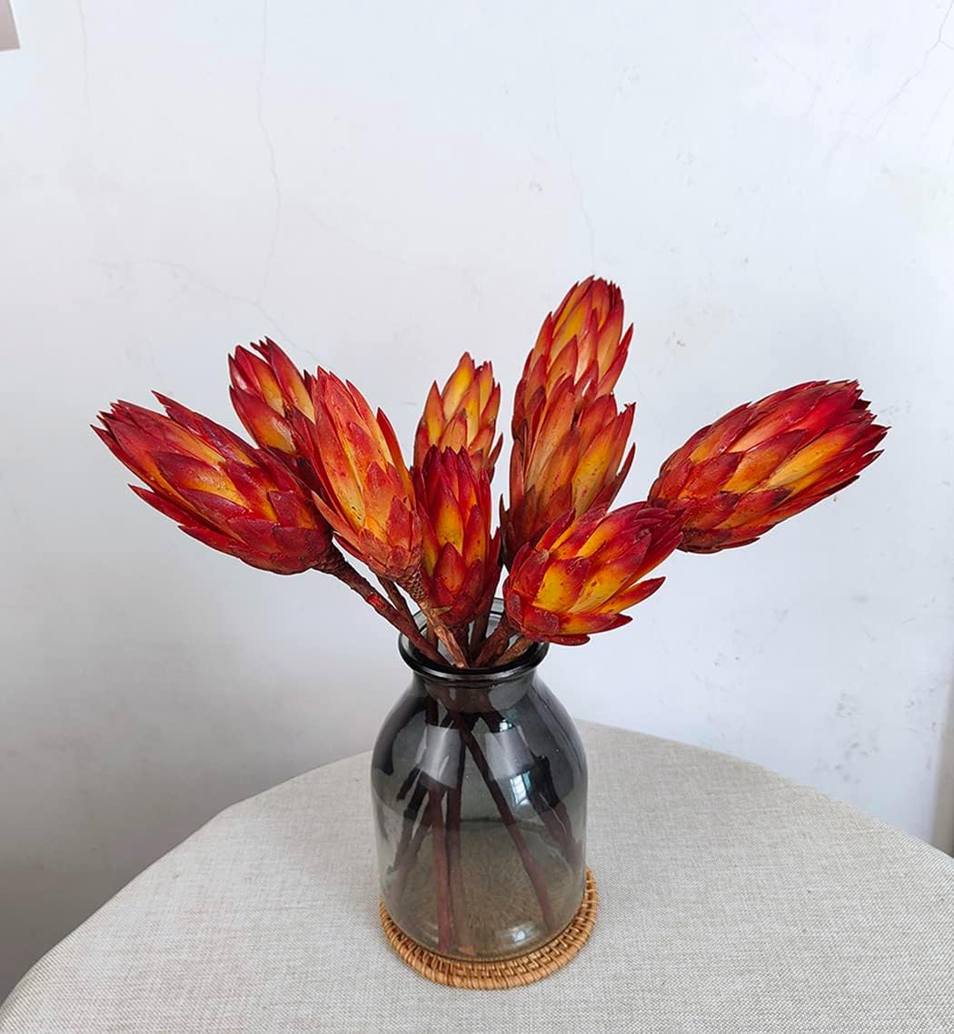 4 stems Dried Protea Flower 14 ‘’ Dried Plant, Preserved Flowers for Vase Filling, Dried Flower Arrangements, Centerpiece Decor，indoor decor，Home Decoration, Wedding Bouquet Plants Decor