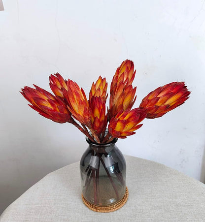 4 stems Dried Protea Flower 14 ‘’ Dried Plant, Preserved Flowers for Vase Filling, Dried Flower Arrangements, Centerpiece Decor，indoor decor，Home Decoration, Wedding Bouquet Plants Decor