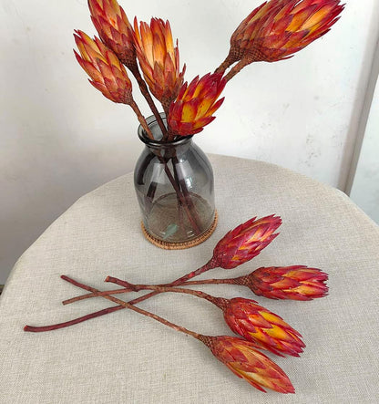 4 stems Dried Protea Flower 14 ‘’ Dried Plant, Preserved Flowers for Vase Filling, Dried Flower Arrangements, Centerpiece Decor，indoor decor，Home Decoration, Wedding Bouquet Plants Decor