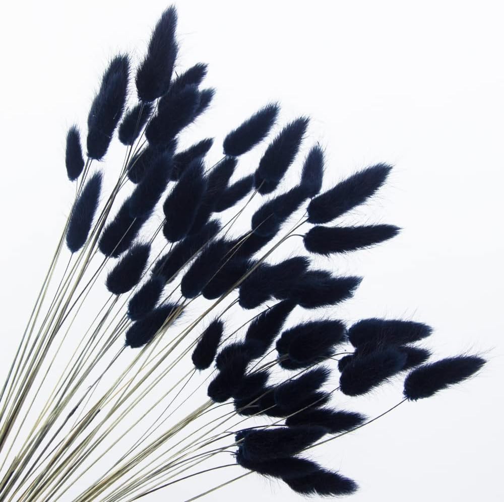 60pcs Dried Bunny Tails Flowers Red Pampas Grass Natural Dried Floral Arrangement Dry Flowers for Christmas Halloween Boho Decor Home Wedding DIY Craft Decoration (16")…