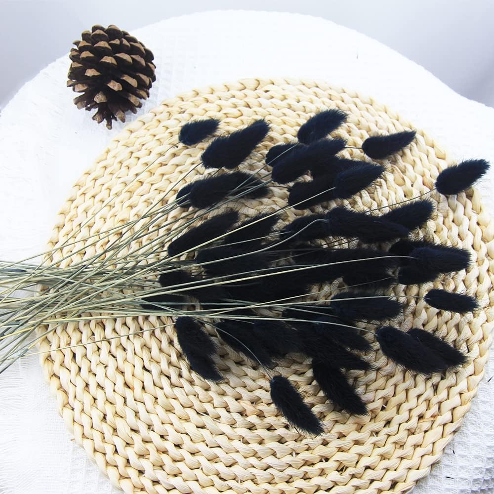 60pcs Dried Bunny Tails Flowers Red Pampas Grass Natural Dried Floral Arrangement Dry Flowers for Christmas Halloween Boho Decor Home Wedding DIY Craft Decoration (16")…