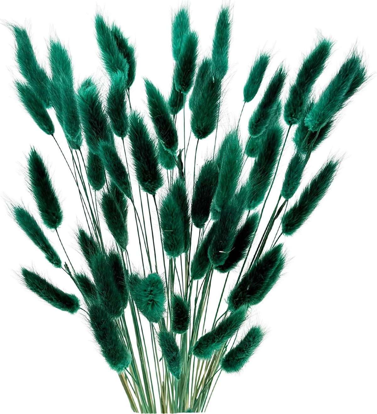 60pcs Dried Bunny Tails Flowers Red Pampas Grass Natural Dried Floral Arrangement Dry Flowers for Christmas Halloween Boho Decor Home Wedding DIY Craft Decoration (16")…