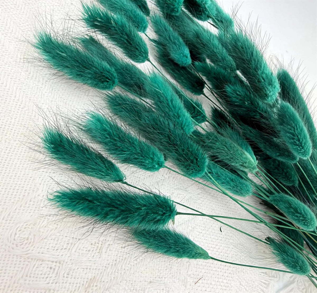 60pcs Dried Bunny Tails Flowers Red Pampas Grass Natural Dried Floral Arrangement Dry Flowers for Christmas Halloween Boho Decor Home Wedding DIY Craft Decoration (16")…