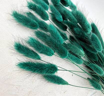 60pcs Dried Bunny Tails Flowers Red Pampas Grass Natural Dried Floral Arrangement Dry Flowers for Christmas Halloween Boho Decor Home Wedding DIY Craft Decoration (16")…