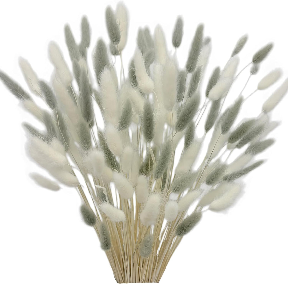 60pcs Dried Bunny Tails Flowers Red Pampas Grass Natural Dried Floral Arrangement Dry Flowers for Christmas Halloween Boho Decor Home Wedding DIY Craft Decoration (16")…