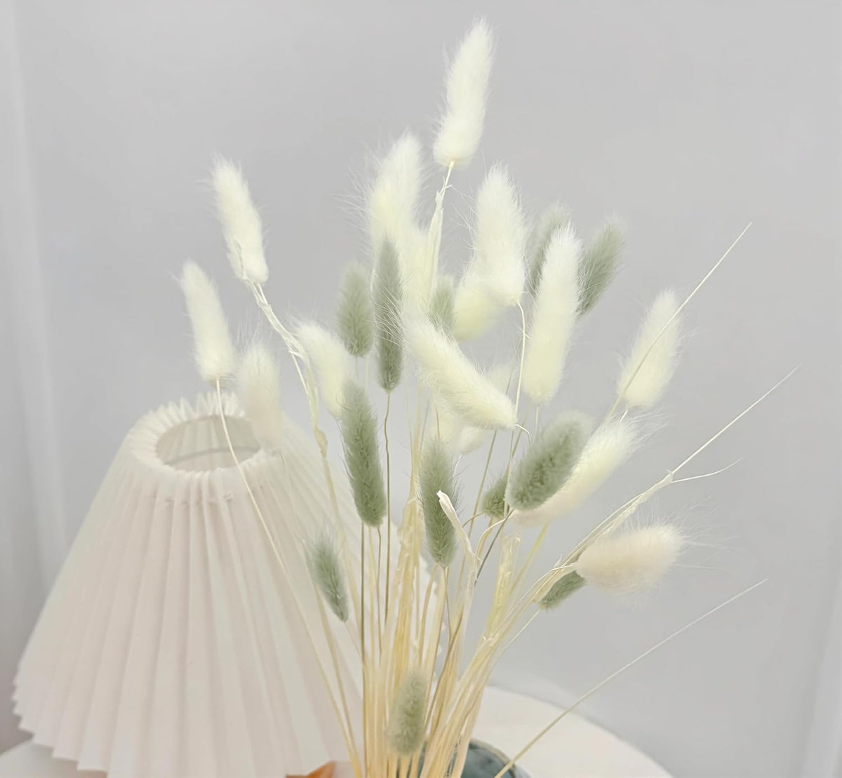 60pcs Dried Bunny Tails Flowers Red Pampas Grass Natural Dried Floral Arrangement Dry Flowers for Christmas Halloween Boho Decor Home Wedding DIY Craft Decoration (16")…