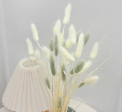60pcs Dried Bunny Tails Flowers Red Pampas Grass Natural Dried Floral Arrangement Dry Flowers for Christmas Halloween Boho Decor Home Wedding DIY Craft Decoration (16")…
