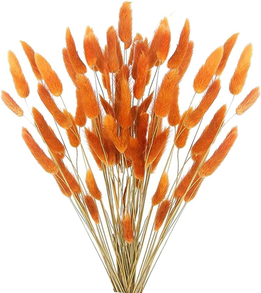 60pcs Dried Bunny Tails Flowers Red Pampas Grass Natural Dried Floral Arrangement Dry Flowers for Christmas Halloween Boho Decor Home Wedding DIY Craft Decoration (16")…