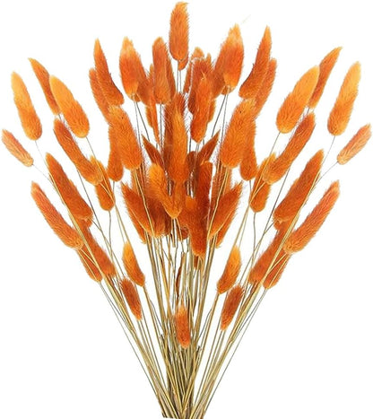 60pcs Dried Bunny Tails Flowers Red Pampas Grass Natural Dried Floral Arrangement Dry Flowers for Christmas Halloween Boho Decor Home Wedding DIY Craft Decoration (16")…