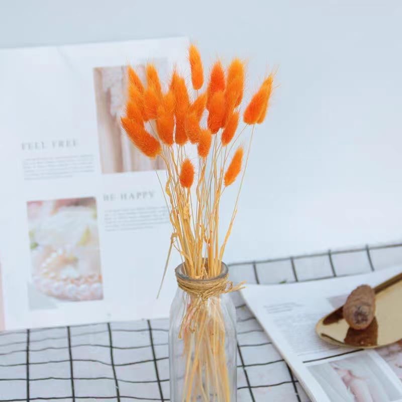 60pcs Dried Bunny Tails Flowers Red Pampas Grass Natural Dried Floral Arrangement Dry Flowers for Christmas Halloween Boho Decor Home Wedding DIY Craft Decoration (16")…