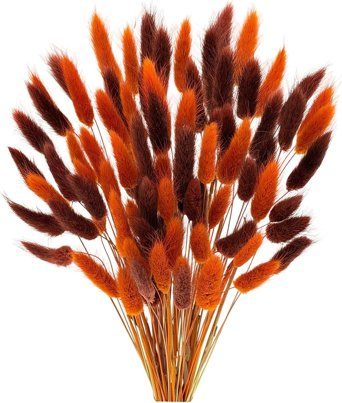 60pcs Dried Bunny Tails Flowers Red Pampas Grass Natural Dried Floral Arrangement Dry Flowers for Christmas Halloween Boho Decor Home Wedding DIY Craft Decoration (16")…