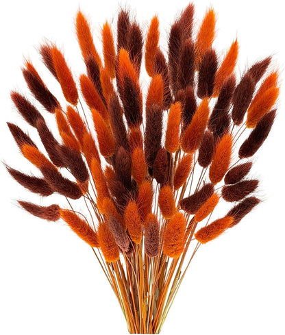 60pcs Dried Bunny Tails Flowers Red Pampas Grass Natural Dried Floral Arrangement Dry Flowers for Christmas Halloween Boho Decor Home Wedding DIY Craft Decoration (16")…