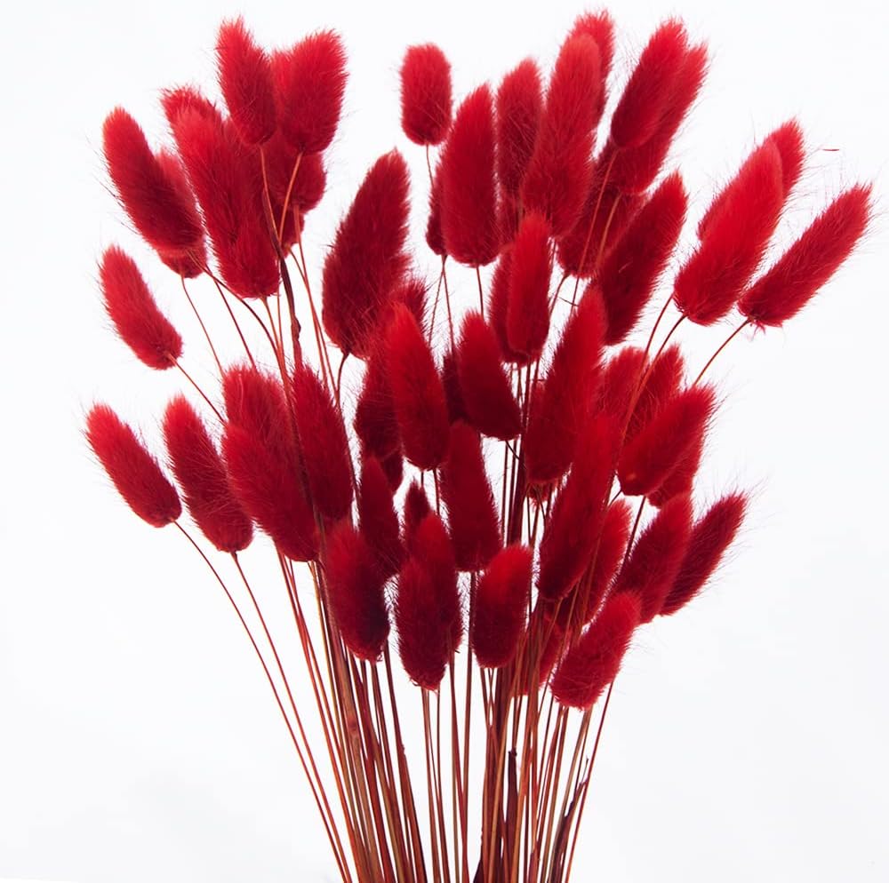 60pcs Dried Bunny Tails Flowers Red Pampas Grass Natural Dried Floral Arrangement Dry Flowers for Christmas Halloween Boho Decor Home Wedding DIY Craft Decoration (16")…