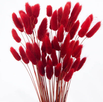 60pcs Dried Bunny Tails Flowers Red Pampas Grass Natural Dried Floral Arrangement Dry Flowers for Christmas Halloween Boho Decor Home Wedding DIY Craft Decoration (16")…