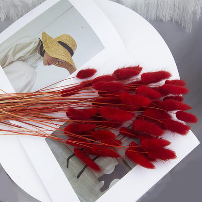 60pcs Dried Bunny Tails Flowers Red Pampas Grass Natural Dried Floral Arrangement Dry Flowers for Christmas Halloween Boho Decor Home Wedding DIY Craft Decoration (16")…