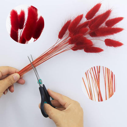 60pcs Dried Bunny Tails Flowers Red Pampas Grass Natural Dried Floral Arrangement Dry Flowers for Christmas Halloween Boho Decor Home Wedding DIY Craft Decoration (16")…