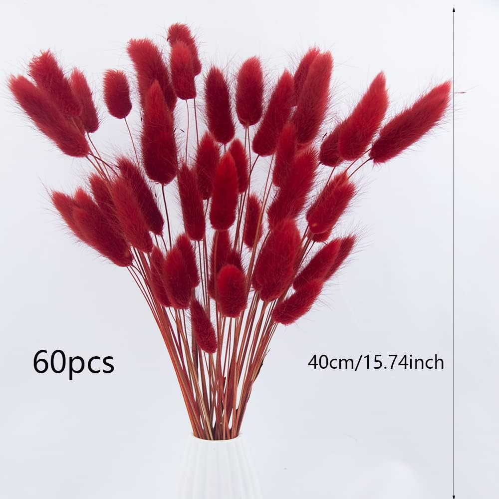 60pcs Dried Bunny Tails Flowers Red Pampas Grass Natural Dried Floral Arrangement Dry Flowers for Christmas Halloween Boho Decor Home Wedding DIY Craft Decoration (16")…