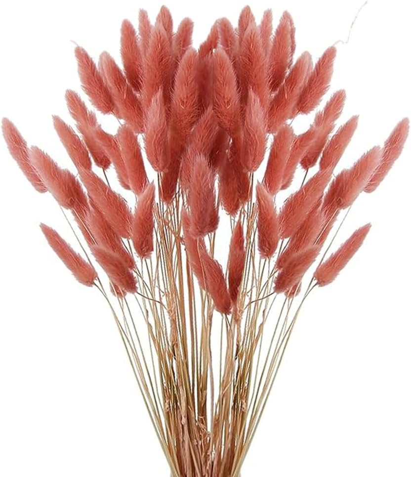 60pcs Dried Bunny Tails Flowers Red Pampas Grass Natural Dried Floral Arrangement Dry Flowers for Christmas Halloween Boho Decor Home Wedding DIY Craft Decoration (16")…