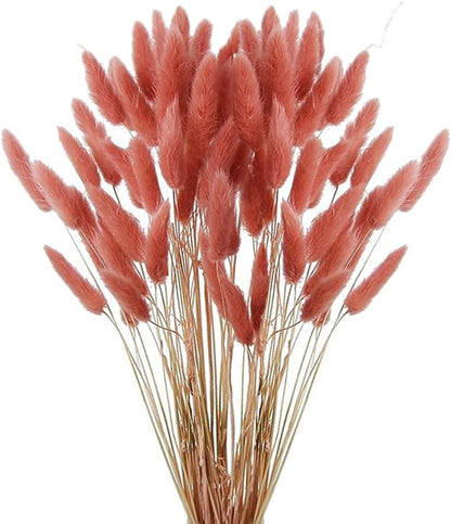 60pcs Dried Bunny Tails Flowers Red Pampas Grass Natural Dried Floral Arrangement Dry Flowers for Christmas Halloween Boho Decor Home Wedding DIY Craft Decoration (16")…