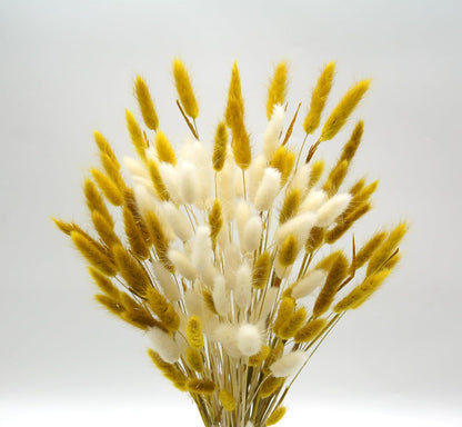 60pcs Dried Bunny Tails Flowers Red Pampas Grass Natural Dried Floral Arrangement Dry Flowers for Christmas Halloween Boho Decor Home Wedding DIY Craft Decoration (16")…
