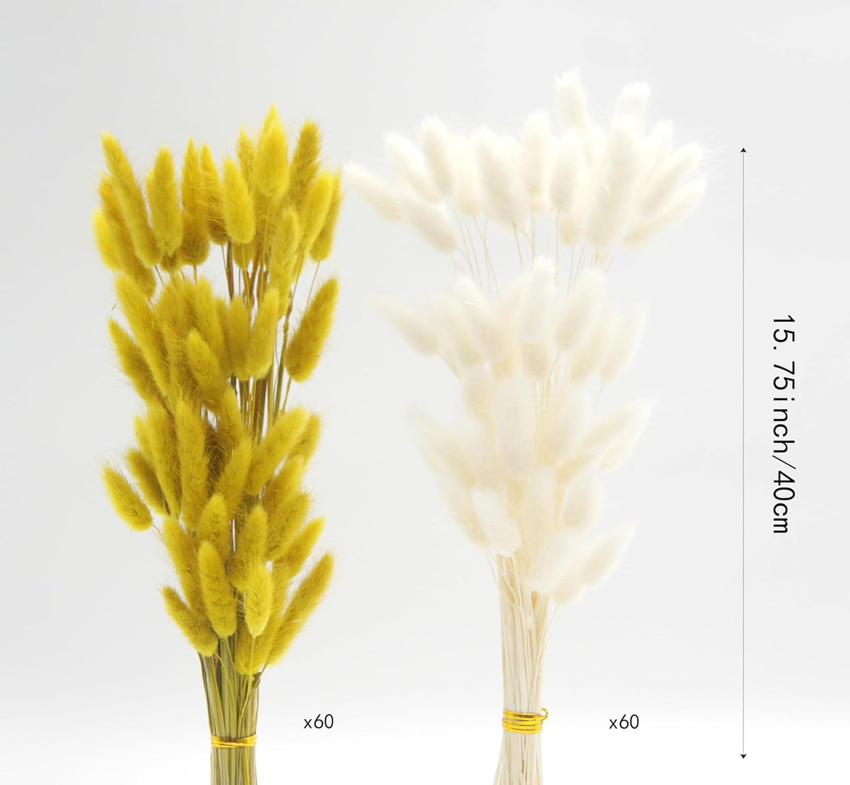 60pcs Dried Bunny Tails Flowers Red Pampas Grass Natural Dried Floral Arrangement Dry Flowers for Christmas Halloween Boho Decor Home Wedding DIY Craft Decoration (16")…