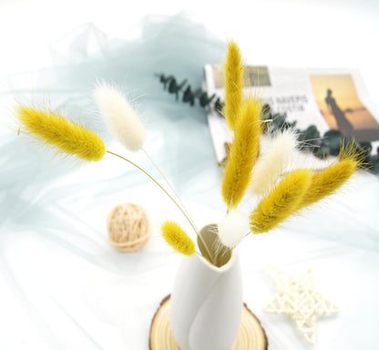 60pcs Dried Bunny Tails Flowers Red Pampas Grass Natural Dried Floral Arrangement Dry Flowers for Christmas Halloween Boho Decor Home Wedding DIY Craft Decoration (16")…