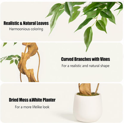 6ft Large Ficus Artificial Trees in White Pot, 72" Tall Fake Silk Tree with Natural Curved Trunk, Lush Faux Ficus Tree for Indoor Home Decor, Living Room, Office & Patio