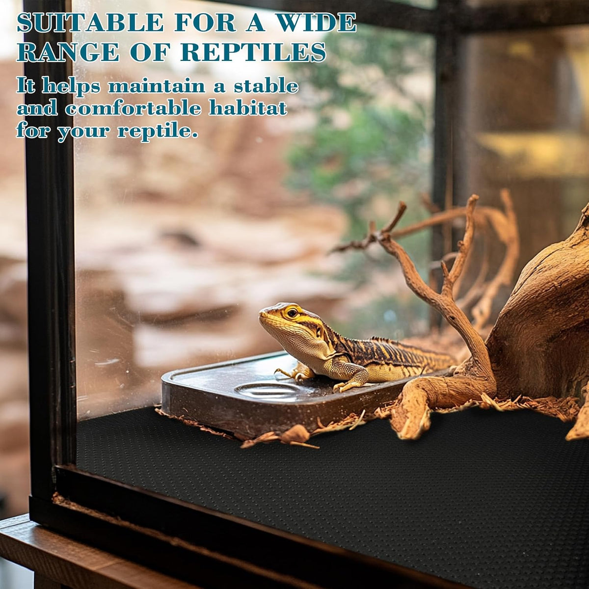 MAQIHAN Reptile Mat for Bearded Dragon Tanks - 6.5 FT Bearded Dragon Carpet