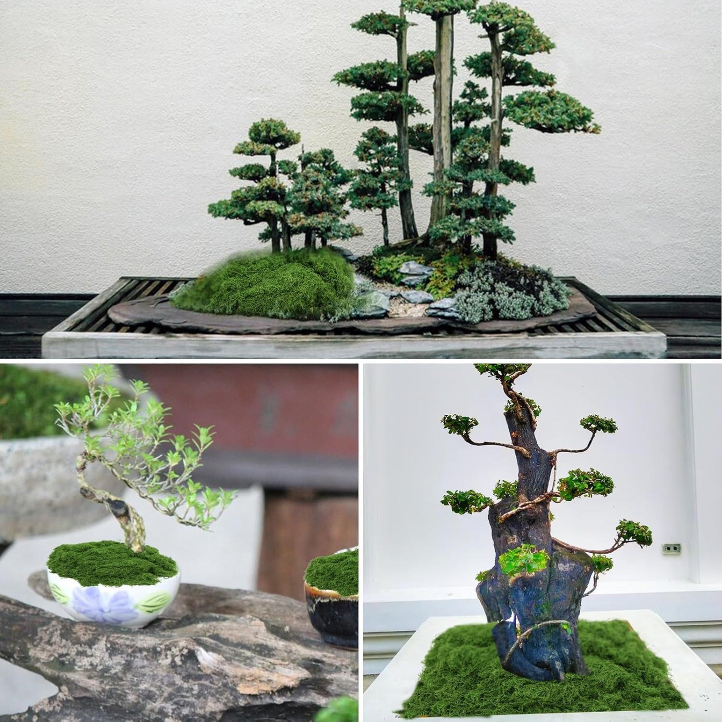 ONEST 8 Pieces Model Cactus Artificial Fake Cacti Stones for Home Decoration Miniature Landscape Landform Diorama Project