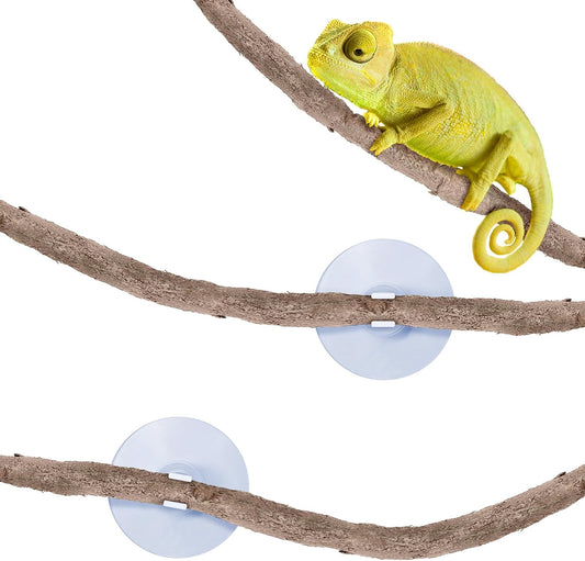 6 ft Reptile Vine for Terrarium, Flexible Climber Lizard Tank Decor, Ball Python Snake Climbing Accessories, Twistable and Bendable Habitat Decor Terrarium Vines for Chameleon, Bearded Dragon