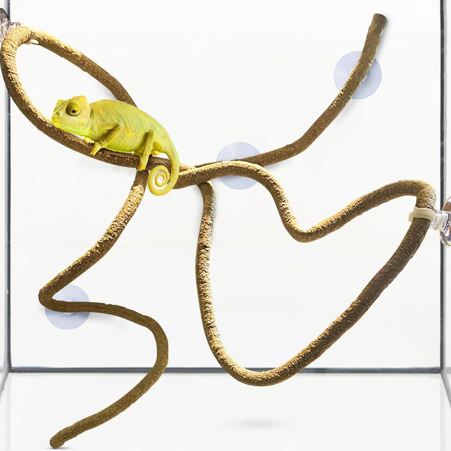 6 ft Reptile Vine for Terrarium, Flexible Climber Lizard Tank Decor, Ball Python Snake Climbing Accessories, Twistable and Bendable Habitat Decor Terrarium Vines for Chameleon, Bearded Dragon