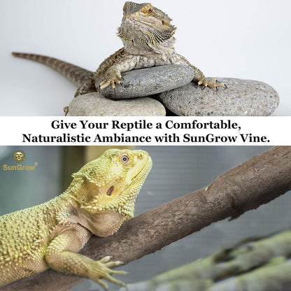 6 ft Reptile Vine for Terrarium, Flexible Climber Lizard Tank Decor, Ball Python Snake Climbing Accessories, Twistable and Bendable Habitat Decor Terrarium Vines for Chameleon, Bearded Dragon