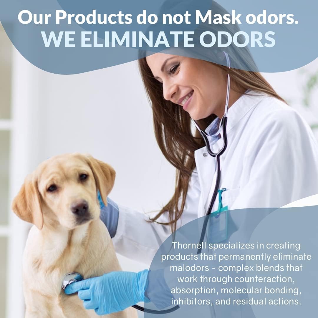 K.O.E. Fresh Scent Odor Eliminator Concentrate – For Strong Odor on Cages, Floor, & More – Non-Enzymatic For Home & Dog Kennel – Home & Pet Supplies (1 Gal)