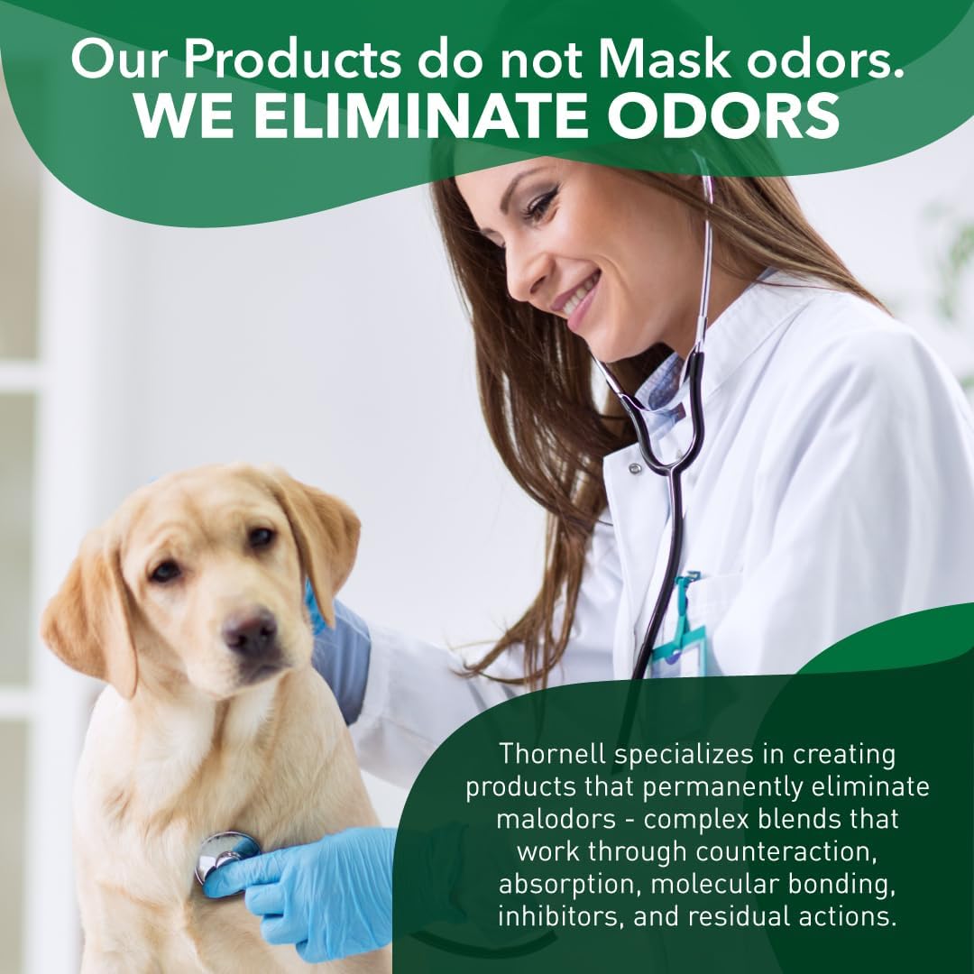 K.O.E. Fresh Scent Odor Eliminator Concentrate – For Strong Odor on Cages, Floor, & More – Non-Enzymatic For Home & Dog Kennel – Home & Pet Supplies (1 Gal)