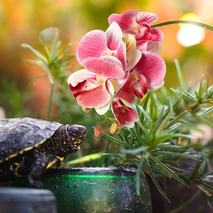 2 Pieces Artificial Phalaenopsis with Suction Cups Terrarium Plant Decoration Reptile Habitat Plant Decor for Hermit Crab Lizards Geckos Snake Reptile (Dark Pink, White Yellow)