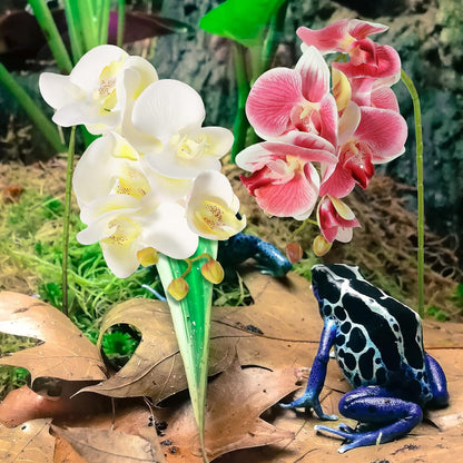2 Pieces Artificial Phalaenopsis with Suction Cups Terrarium Plant Decoration Reptile Habitat Plant Decor for Hermit Crab Lizards Geckos Snake Reptile (Dark Pink, White Yellow)