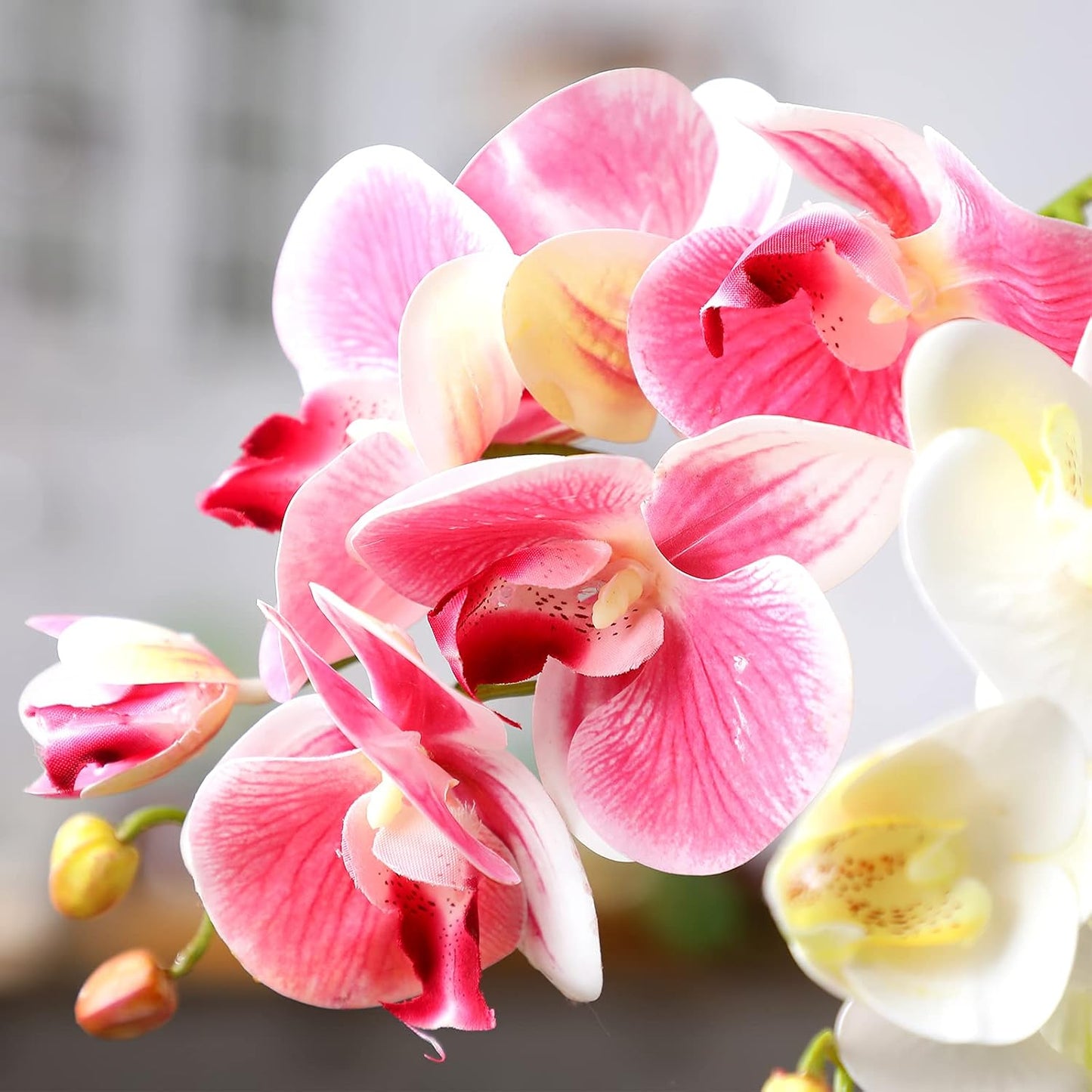 2 Pieces Artificial Phalaenopsis with Suction Cups Terrarium Plant Decoration Reptile Habitat Plant Decor for Hermit Crab Lizards Geckos Snake Reptile (Dark Pink, White Yellow)