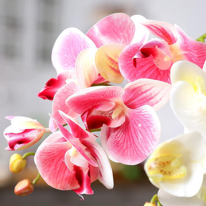 2 Pieces Artificial Phalaenopsis with Suction Cups Terrarium Plant Decoration Reptile Habitat Plant Decor for Hermit Crab Lizards Geckos Snake Reptile (Dark Pink, White Yellow)