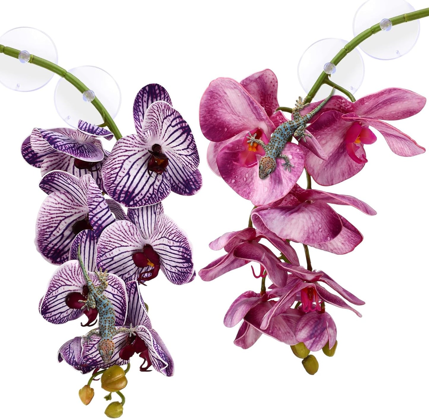 2 Pieces Artificial Phalaenopsis with Suction Cups Terrarium Plant Decoration Reptile Habitat Plant Decor for Hermit Crab Lizards Geckos Snake Reptile (Dark Pink, White Yellow)