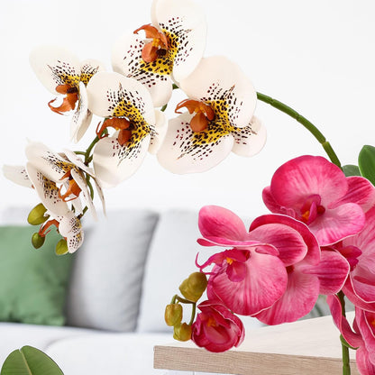2 Pieces Artificial Phalaenopsis with Suction Cups Terrarium Plant Decoration Reptile Habitat Plant Decor for Hermit Crab Lizards Geckos Snake Reptile (Dark Pink, White Yellow)