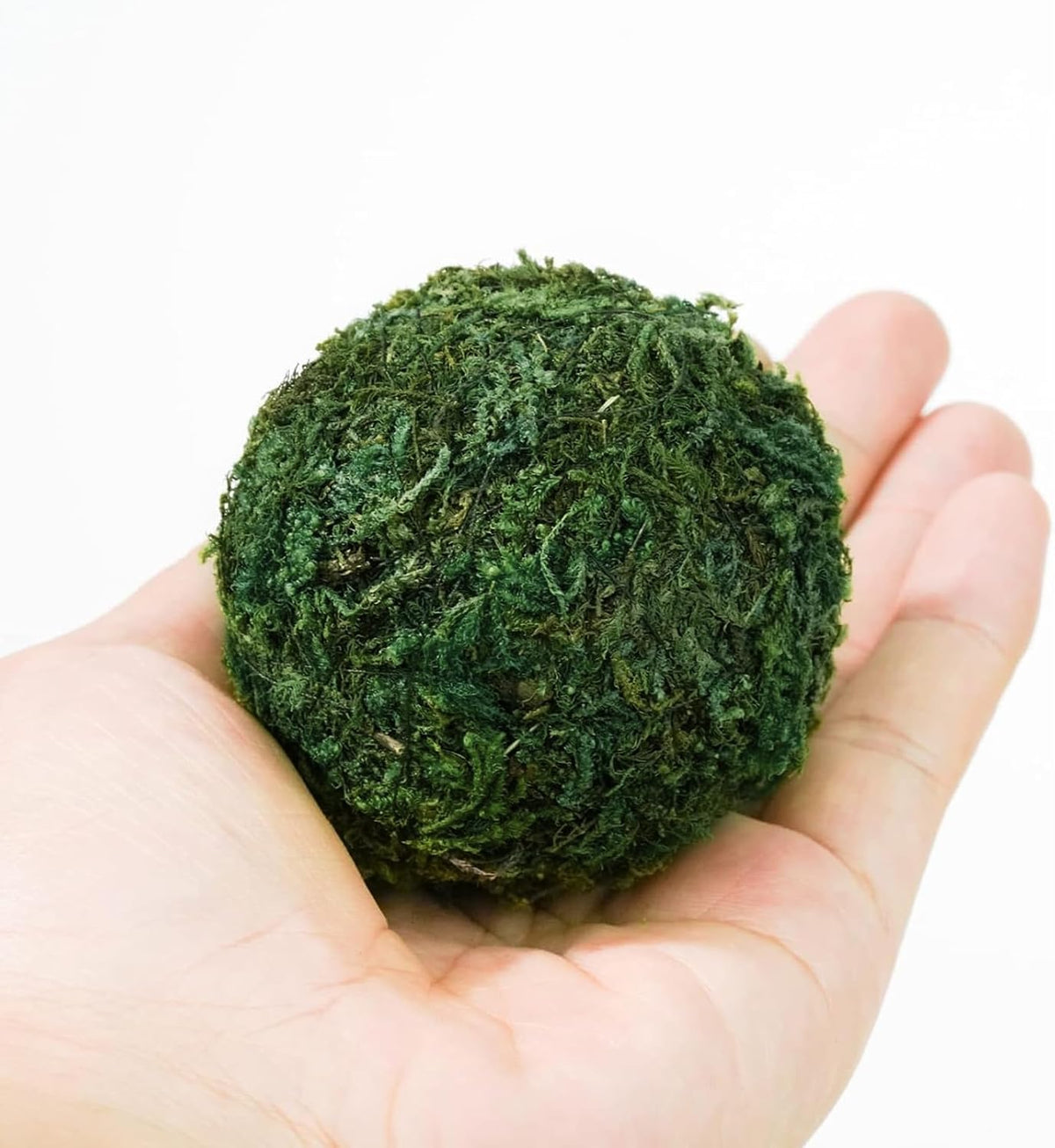 6pcs Natural Green Moss Decorative Ball,Natural Green Moss Balls Handmade Decorative Hanging Balls for Garden Patio Home Table Decor Party Weddings Display Props Decor 2.36in (Green, 6)