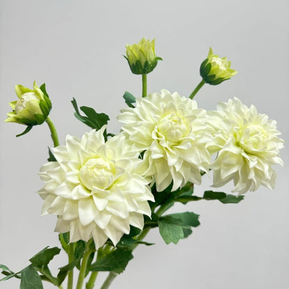 3 Pieces Pink Artificial Dahlias,21"Silk Flowers with Stems,Winter Flowers Artificial for Decoration,Long Stem Artificial Flowers for Tall Vase,Wedding Party Decor Spring Decorations for Home (Pink)