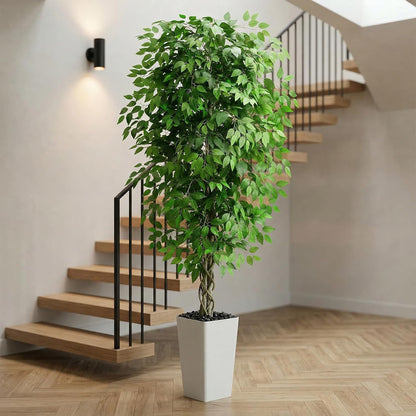 Artificial Ficus Tree Indoor, 6FT Realistic Large Fake Trees | Lifelike Lush Faux Silk Ficus Plant with White Planter, Tall Artificial Plants for Home Room House Office Greenery Decor