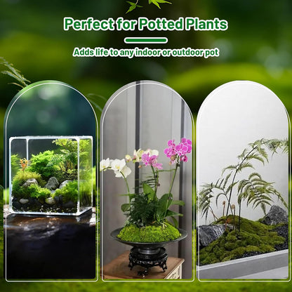 5.3OZ Artificial Fake Green Moss for Crafts, Faux Moss for for Plants Indoor DIY Floral Arrangements, Terrariums, Home Decor, Fairy Gardens