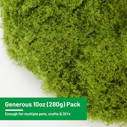 5.3OZ Artificial Fake Green Moss for Crafts, Faux Moss for for Plants Indoor DIY Floral Arrangements, Terrariums, Home Decor, Fairy Gardens