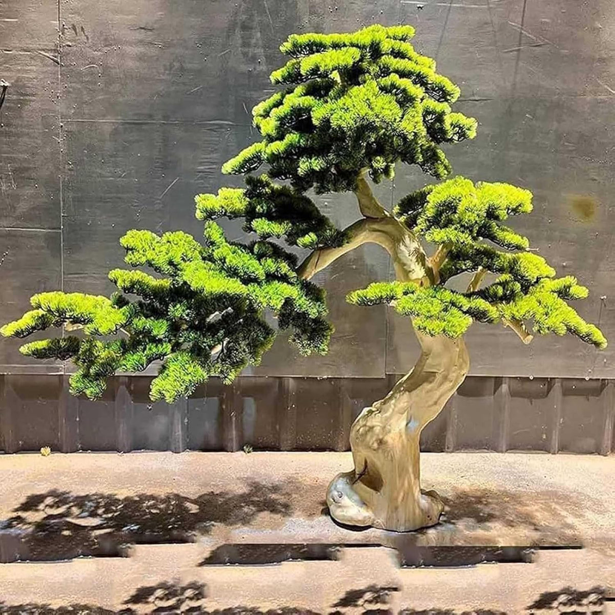 Large Artificial Bonsai Tree - Faux Plants Indoor Podocarpus Tree