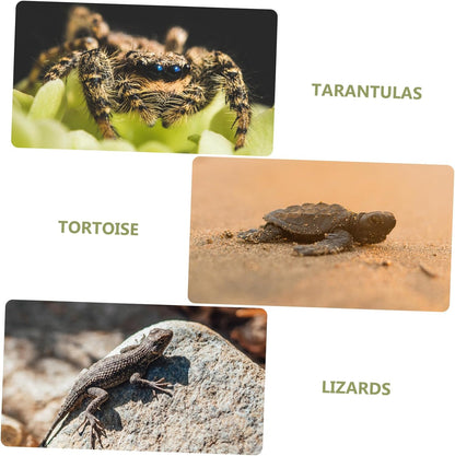 Reptile Mat Lifelike Fake Lawn Carpet for Terrarium Tortoise Bedding and Accessory Reptile Supplies Artificial Grass for Snakes Lizards and Frogs